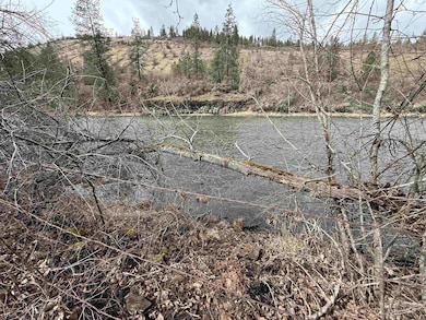 3731 Highway 13, Stites, ID 83552 - photo 3