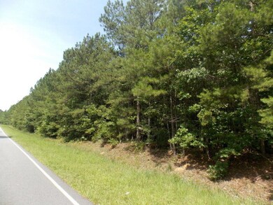 27 Amity Woodlawn Rd, Lincolnton, GA 30817 - photo 5