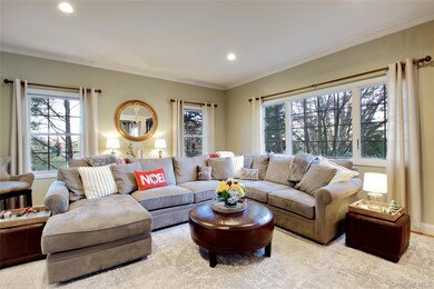 42 Mora Ct, Manhasset, NY 11030 - photo 5