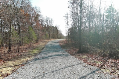 19723 Friendship Dr, Raymondville, MO 65555 - photo 6