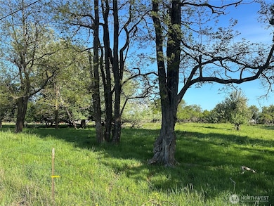 0 Pe Ell McDonald Rd unit NWM2378355, Chehalis, WA 98532 - photo 3