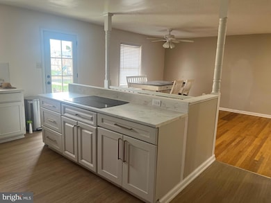 11117 Nursery Rd, Hagerstown, MD 21740 - photo 5