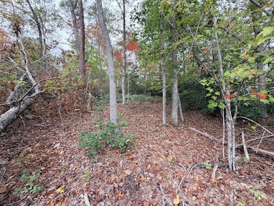 0 Antioch Rd unit CAR4315702, Lake Lure, NC 28746 - photo 7