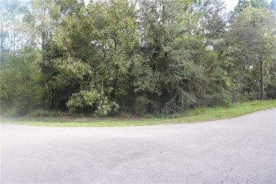 00 SW 211th Cir, Dunnellon, FL 34431 - photo 2