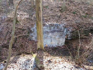 Brandt 109 Acres Photo 1