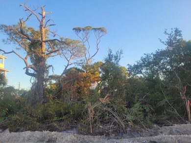 232 E Pine Ave, St. George Island, FL 32328 - photo 2
