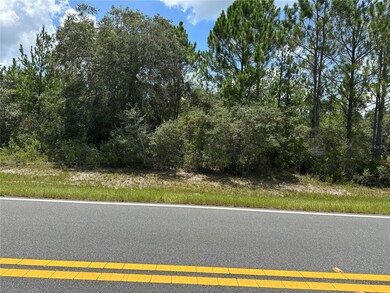 796 Fisher Rd, Ocklawaha, FL 32179 - photo 7