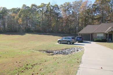 291 Sara Acres Dr, Tennessee Ridge, TN 37178 - photo 4