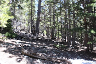 unlisted-address, Idaho Springs, CO 80436 - photo 7