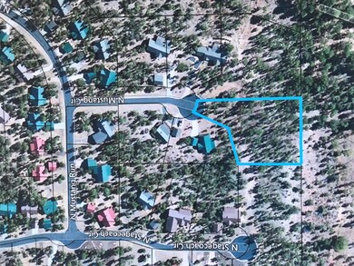 Aerial Lot View
