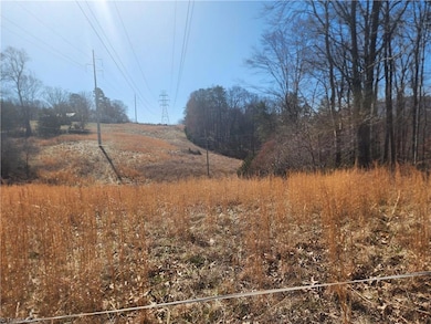 00 Golf Course Rd, Pilot Mountain, NC 27041 - photo 3