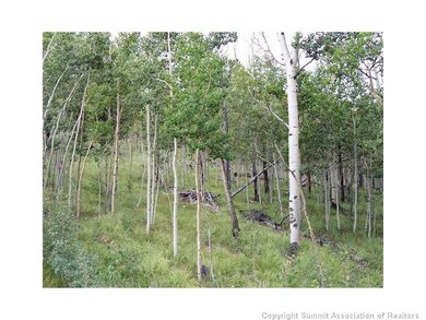 579 Old Squaw Rd, Como, CO 80432 - photo 3
