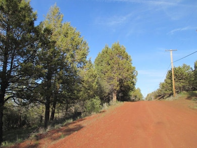 0 Pearson Butte unit Lot 16 220198014, Keno, OR 97627 - photo 3