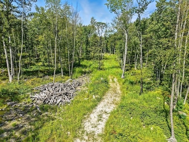 25 Milk St, Blackstone, MA 01504 - photo 5