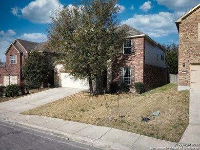 10819 Yaupon Holly, Helotes, TX 78023 - photo 2