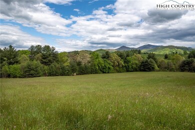 99999 Charlie Brown Rd, Burnsville, NC 28714 - photo 3