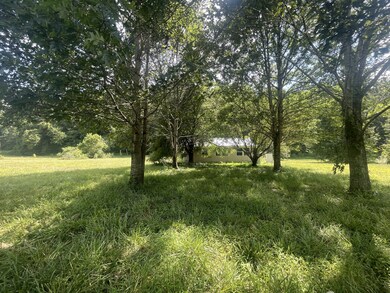 92 Field Dr, Linden, TN 37096 - photo 3