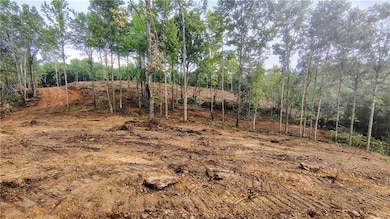 View from the Middle House build site.