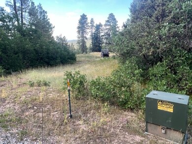TBD Log Ridge Trail, Chama, NM 87520 - photo 6