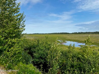 IMG_3478