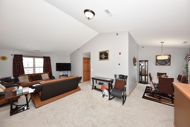 Vaulted Ceilings, Open Concept