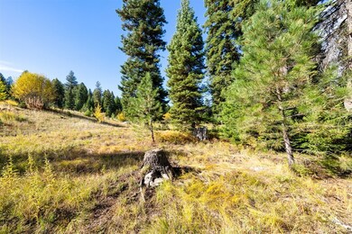 459 Osprey View Dr unit 90, McCall, ID 83638 - photo 4