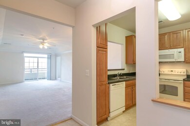 8600 Roaming Ridge Way unit 304, Odenton, MD 21113 - photo 4
