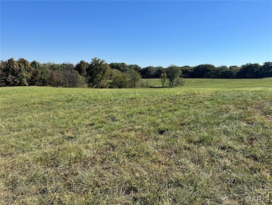 71 Dr, Elsberry, MO 63343 - photo 4