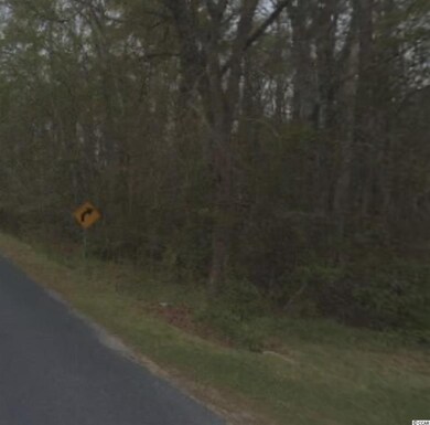 TBD Parcel 1 Highway 668, Conway, SC 29526 - photo 2
