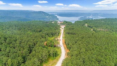 07-DJI_20250611094358_0043_D