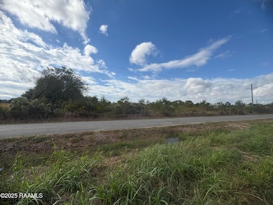 Tbd Trailwood Rd, Kaplan, LA 70548 - photo 3
