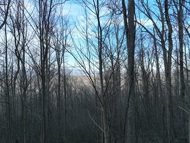 279 Andes Ridge, Ellijay, GA 30536 - photo 5