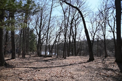 38869 Odin Ct, Ward Township, MN 56438 - photo 6