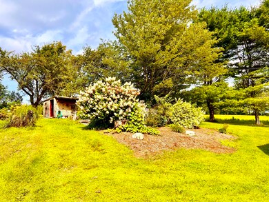 Gardens to Garden Shed