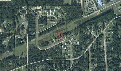 46 Savannah Forest Cir, Crawfordville, FL 32327 - photo 2