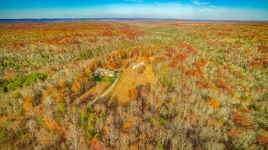 6620 Gray Fryar Road Aerials-5