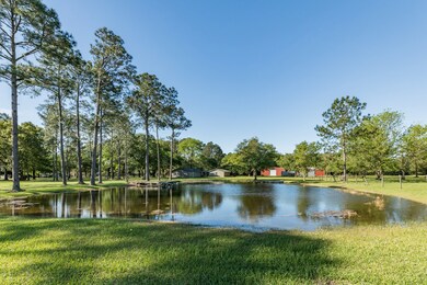 2047 County Road 540, Alvin, TX 77511 - photo 4