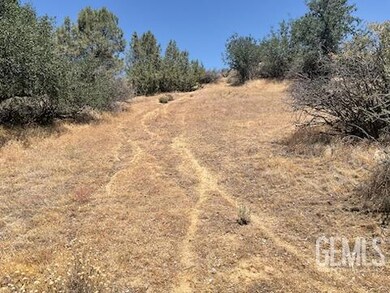 0 Rancheria Creek Rd, Caliente, CA 93518 - photo 6