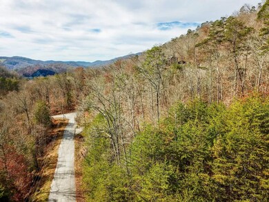 0 Wildcat Hollow Rd unit 25658914, New Tazewell, TN 37825 - photo 2