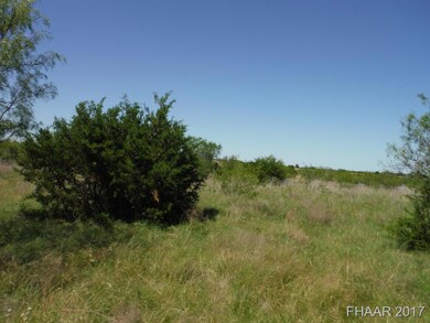Tract 15 Private Road 3642, Copperas Cove, TX 76522 - photo 5