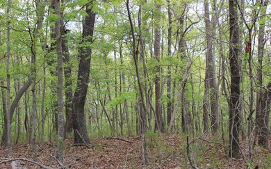 Additional View