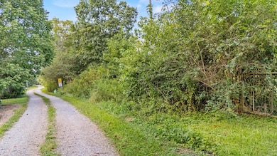 0 Rock Creek Rd, Trenton, GA 30752 - photo 3