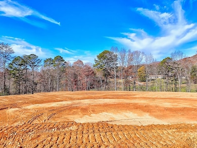 223 Watkins Rd, Blairsville, GA 30512 - photo 5