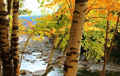 63 S Peak Rd unit PR 16, Lincoln, NH 03251 - photo 6