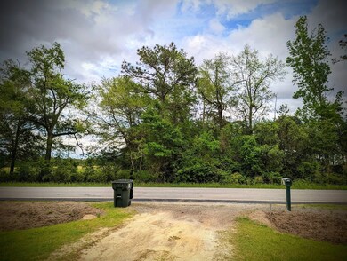 View to the East from within the tract.
