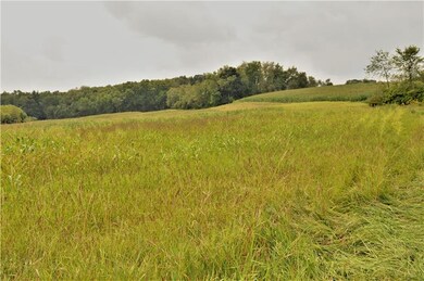 View From Sarver Road with crops planted. North lo