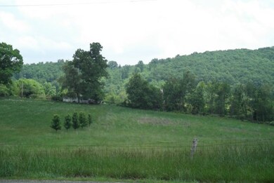 Additional View