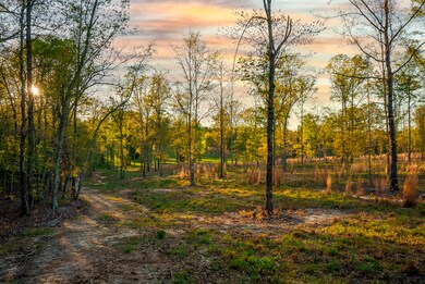 Trails & Lush Grass in Distance