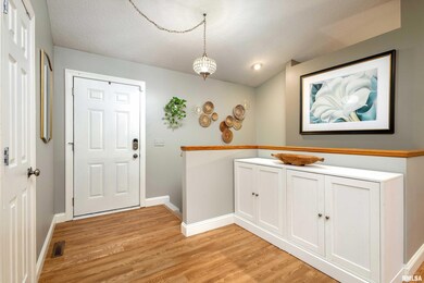 6619 Brookview Ln, Davenport, IA 52806 - photo 6