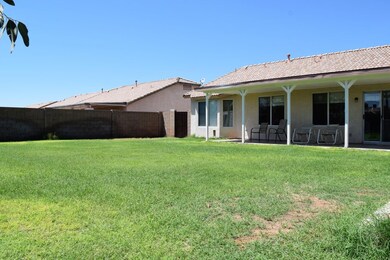 backyard2